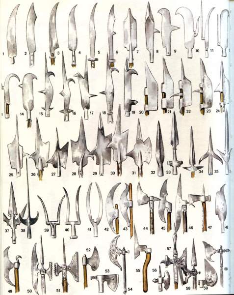 hellebarden.jpg hellebarden.jpg