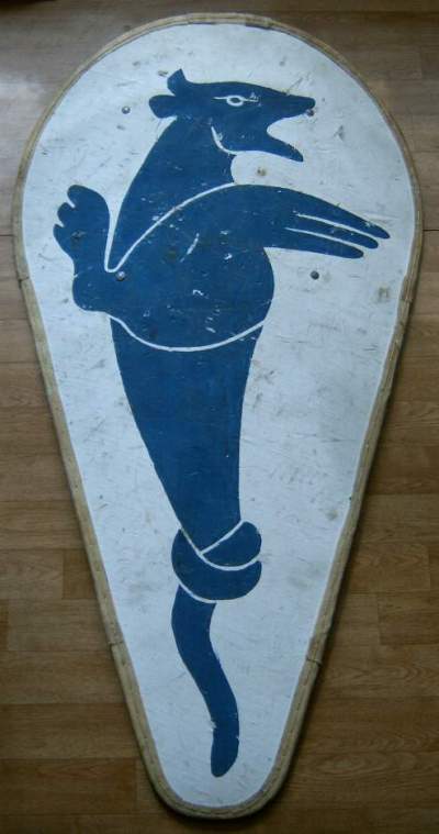 Kiteschild von vorne